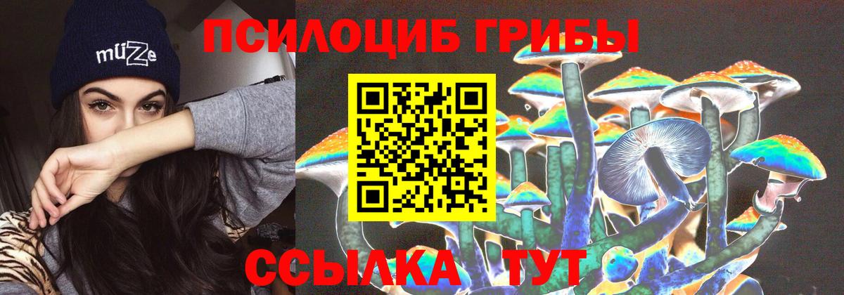 Псилоцибиновые грибы Psilocybine cubensis  Вход с VPN  цена   Галлюциногенные грибы Magic Shrooms  Копейск 